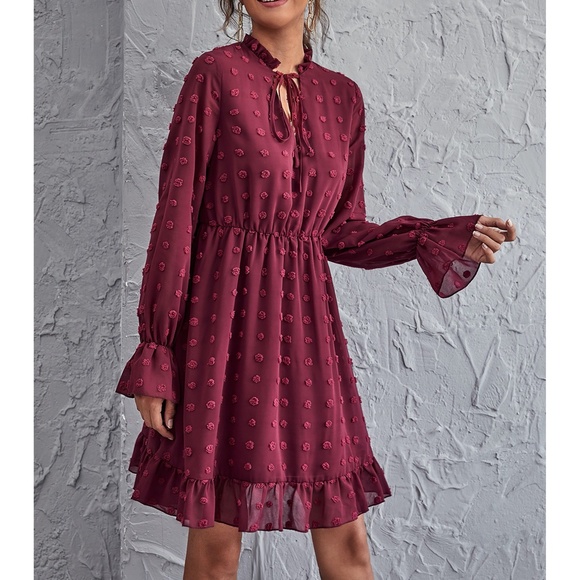 Maroon Red Swiss Dot Long Sleeve Ruffle Dress - Picture 4 of 6